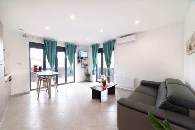 Blue Purple Grand Stade Apartment Meyzieu Luaran gambar